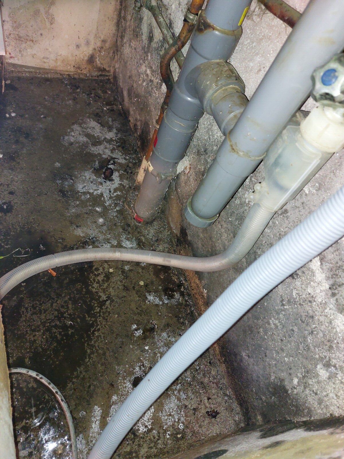 Détection de Fuite d&rsquo;Eau à Montluçon (03) : Diagnostic Expert Sans Casse